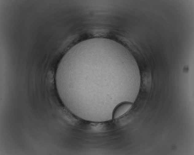 X0000092250667200710051300