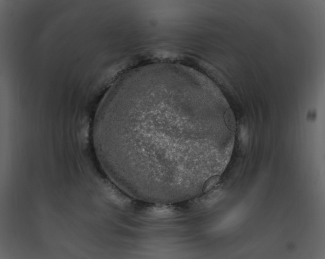 X0000092250668200710051300