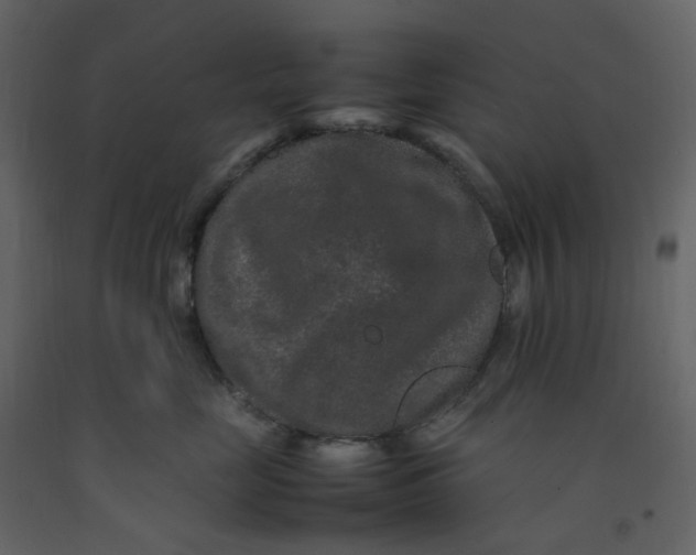 X0000092250669200710051300