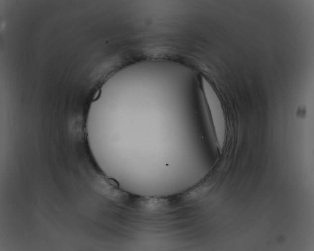 X0000092250670200710051300