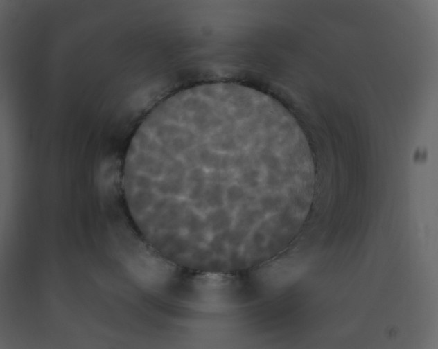 X0000092250672200710051300