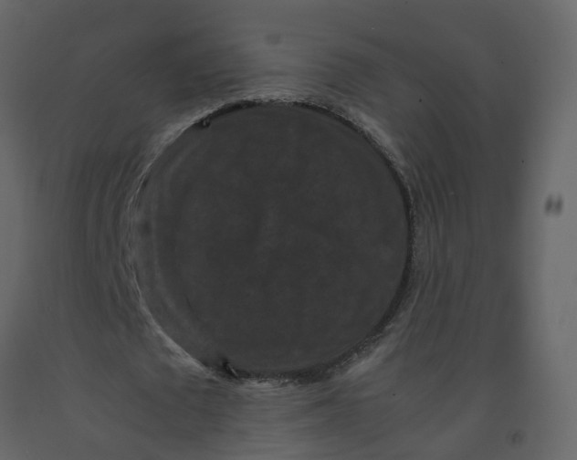 X0000092250673200710051259