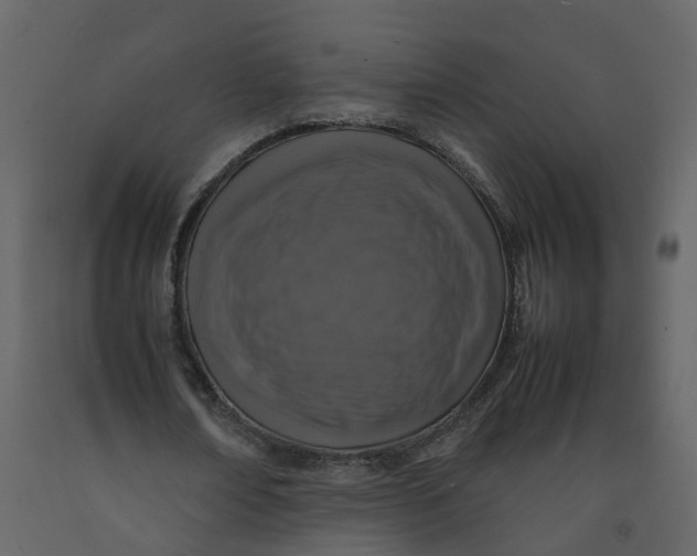 X0000092250674200710051259