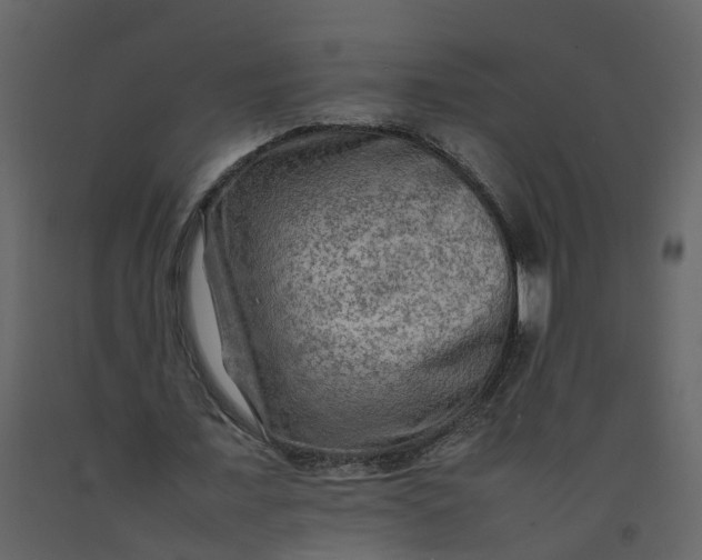 X0000092250675200710051259