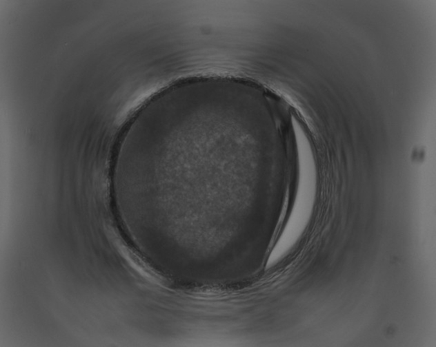 X0000092250677200710051259