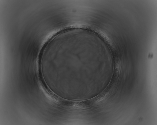 X0000092250678200710051259