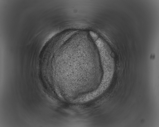 X0000092250679200710051259