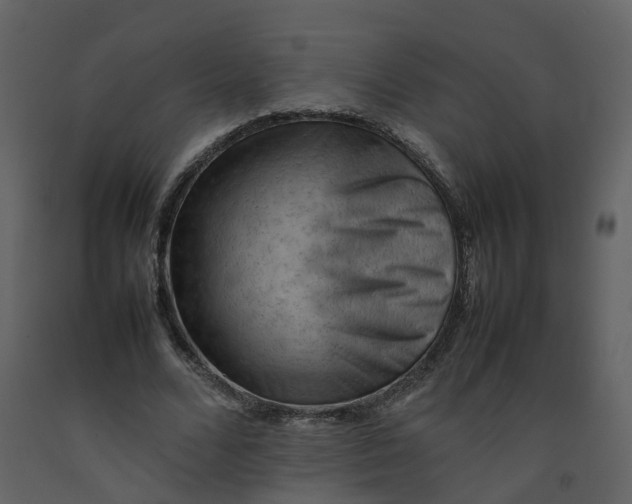 X0000092250680200710051259