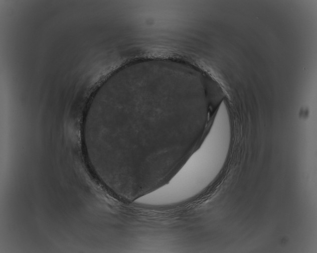 X0000092250681200710051259