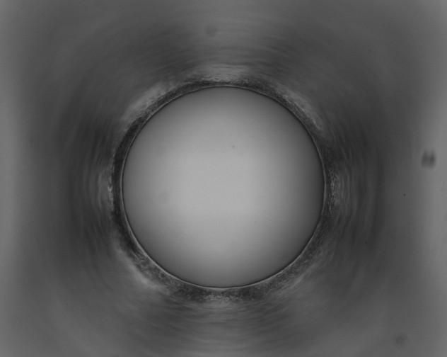 X0000092250682200710051259