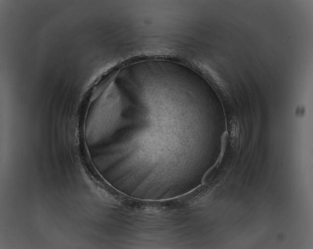 X0000092250684200710051259