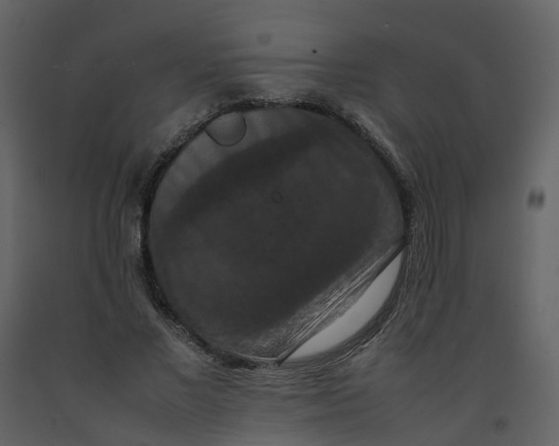 X0000092250685200710051259