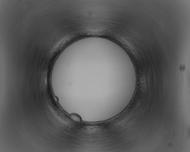 X0000092250686200710051259