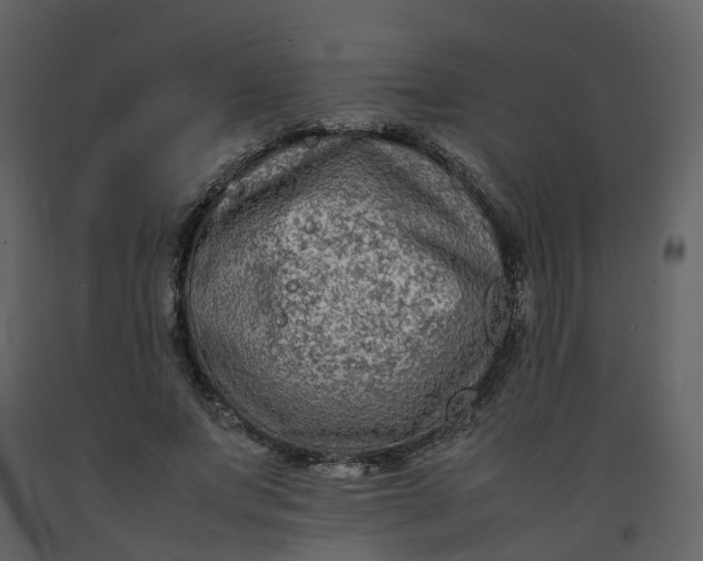 X0000092250687200710051259