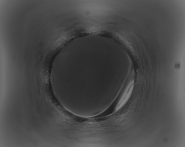 X0000092250689200710051259