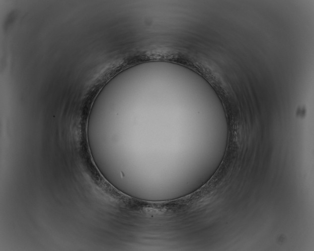 X0000092250690200710051259