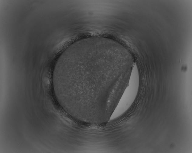 X0000092250691200710051259