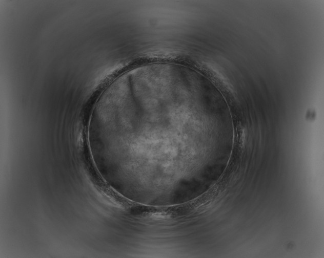 X0000092250692200710051259