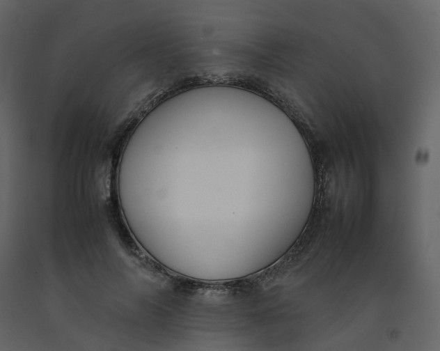 X0000092250694200710051259