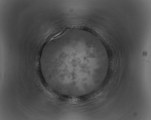 X0000092250695200710051259