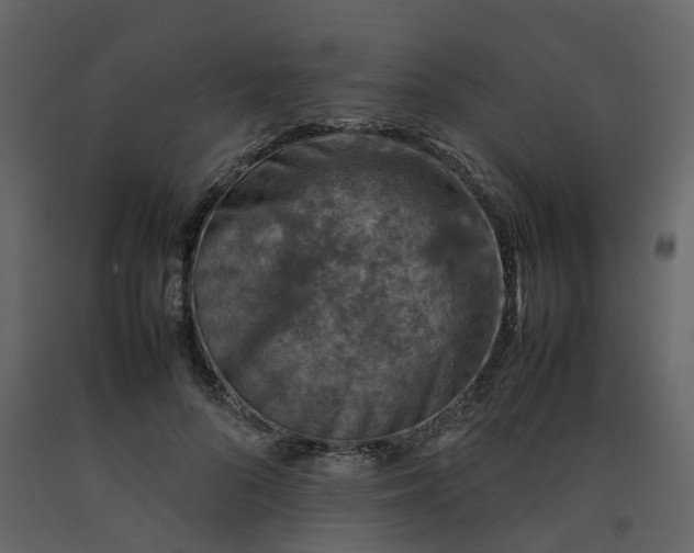 X0000092250696200710051259