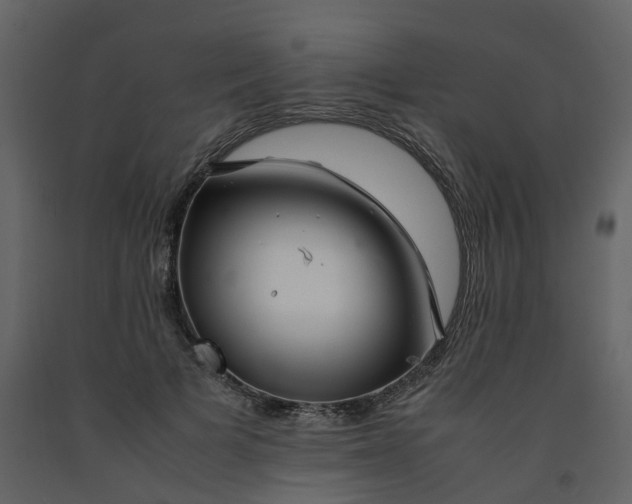 X0000092250697200710051259