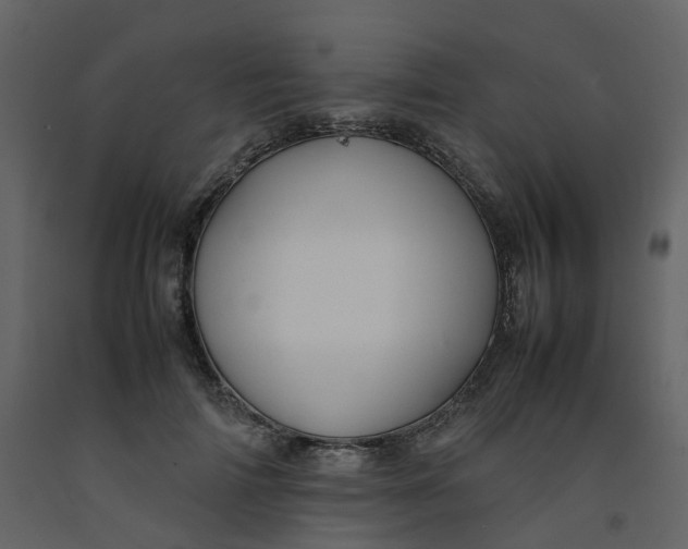 X0000092250698200710051259