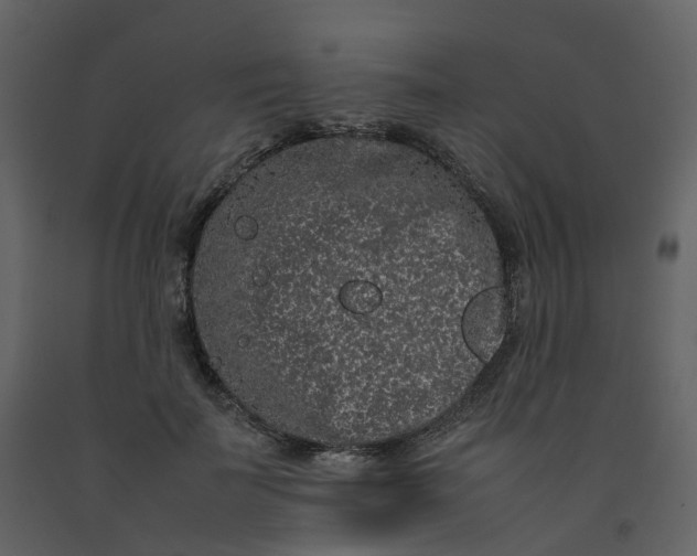 X0000092250699200710051259