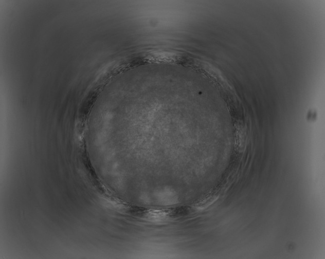 X0000092250701200710051259