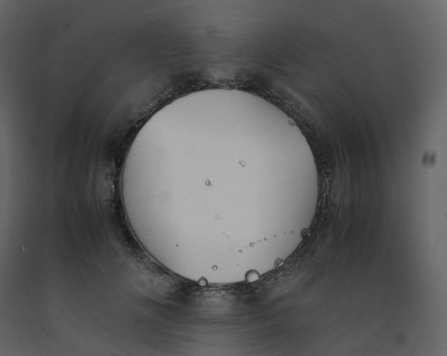 X0000092250702200710051259