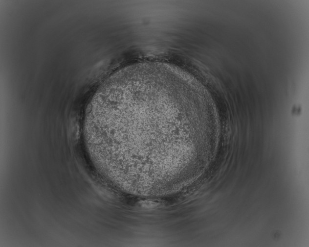 X0000092250703200710051259