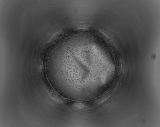 X0000092250704200710051259