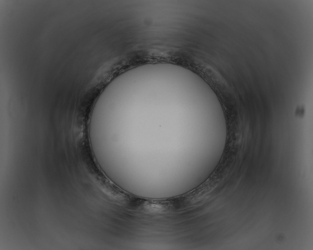 X0000092250706200710051259