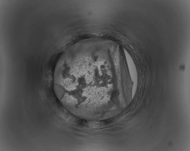 X0000092250707200710051259