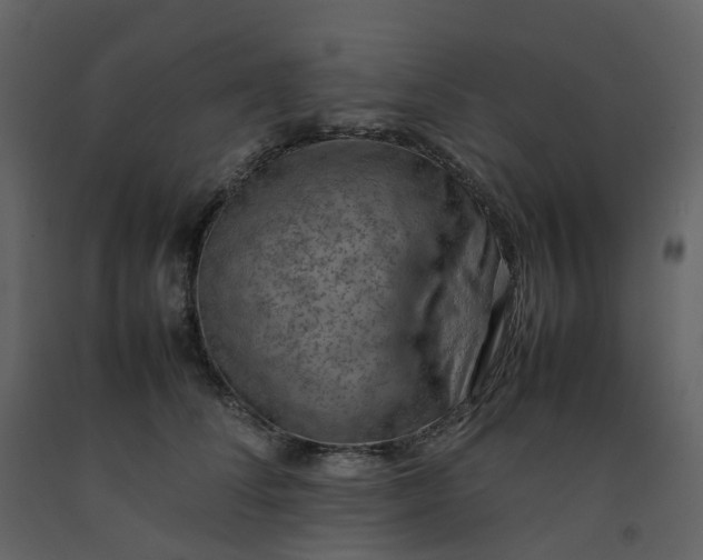 X0000092250708200710051259