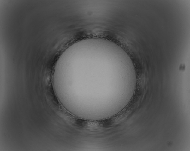 X0000092250709200710051259