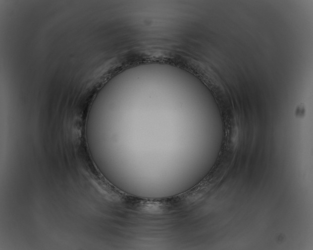 X0000092250710200710051259