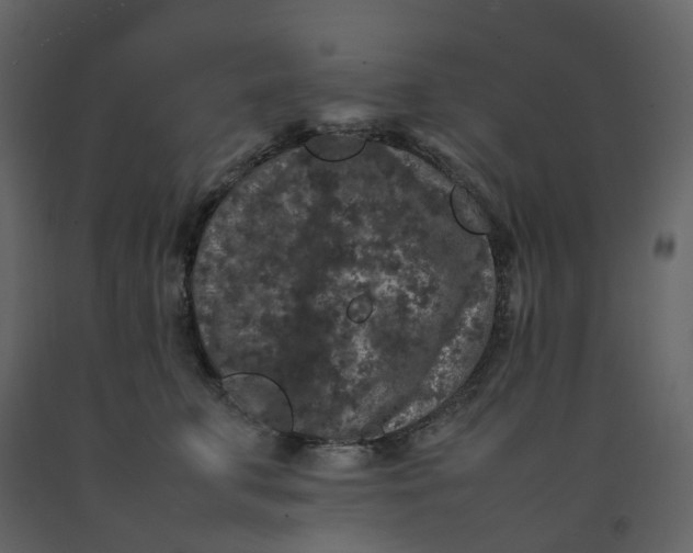 X0000092250711200710051259