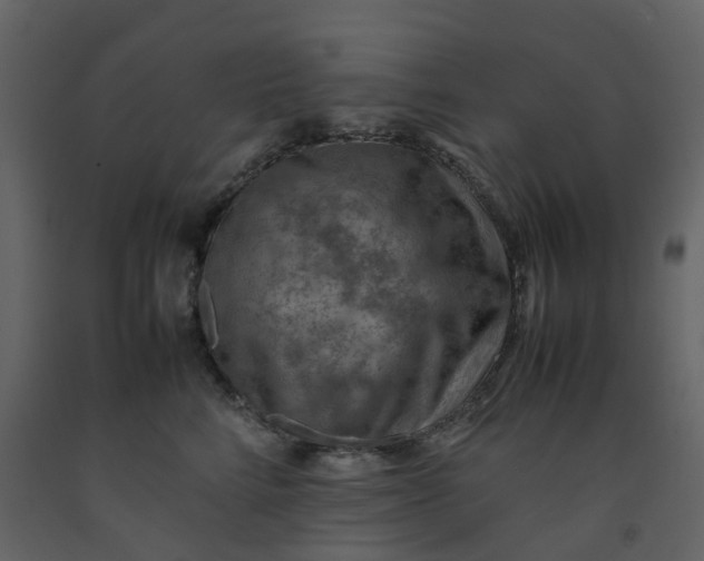 X0000092250712200710051259