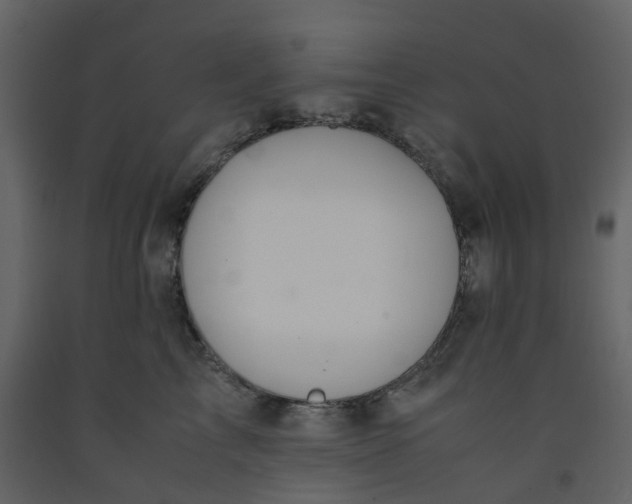 X0000092250713200710051259