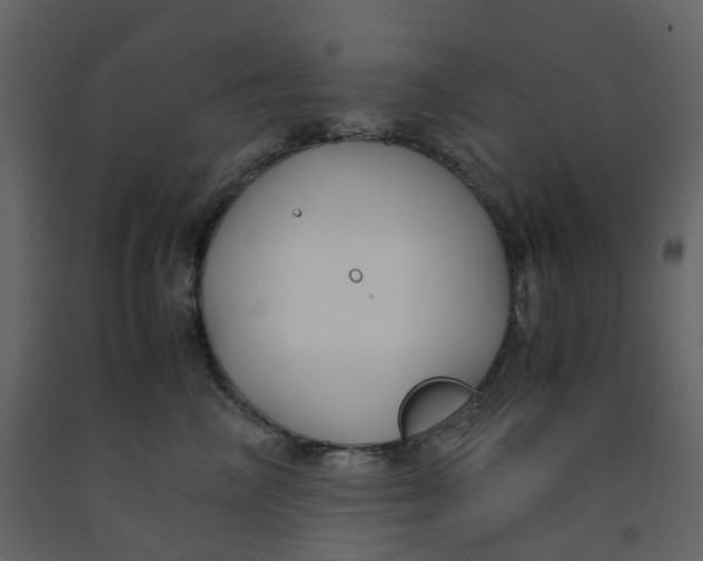 X0000092250714200710051259