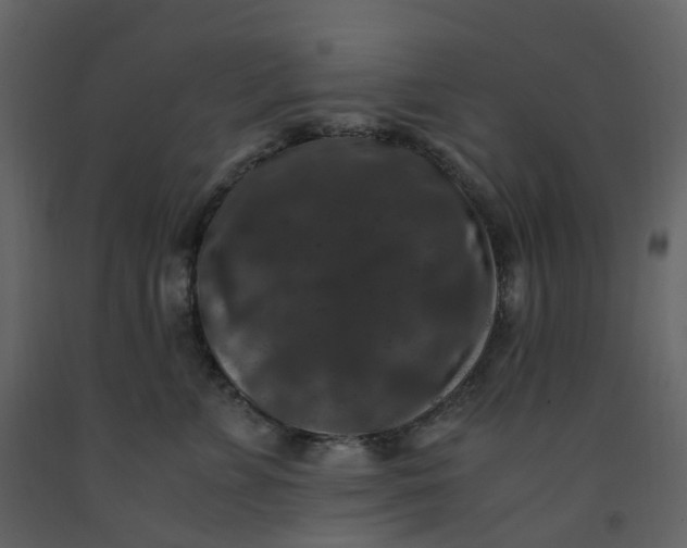 X0000092250715200710051259