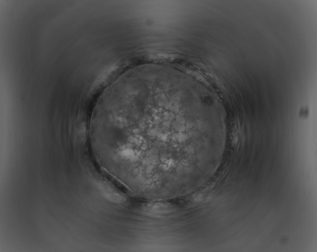 X0000092250716200710051259