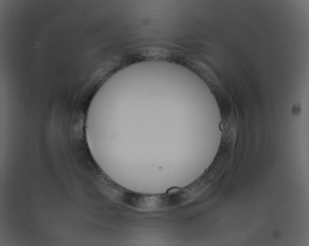 X0000092250717200710051259