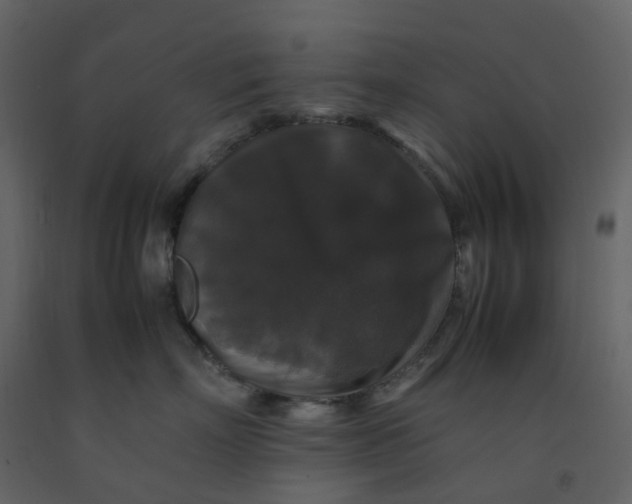 X0000092250718200710051258