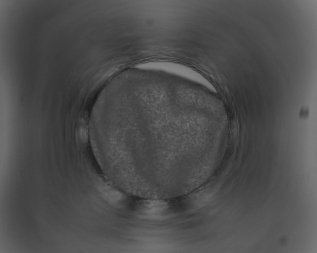 X0000092250719200710051258