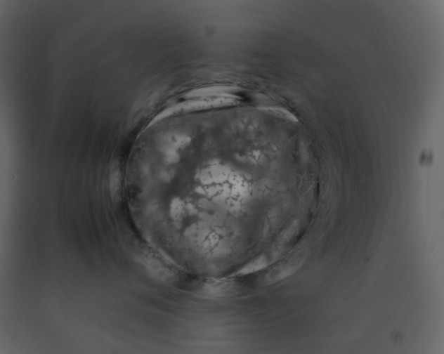 X0000092250720200710051258