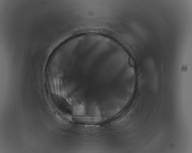 X0000092250721200710051258