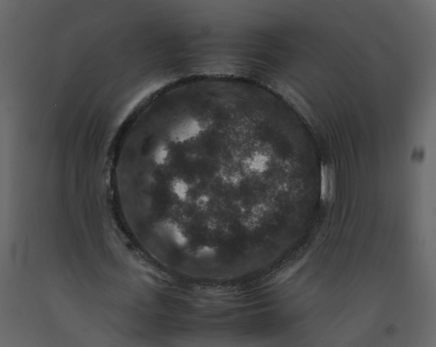 X0000092250723200710051258