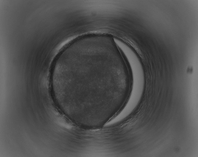 X0000092250724200710051258